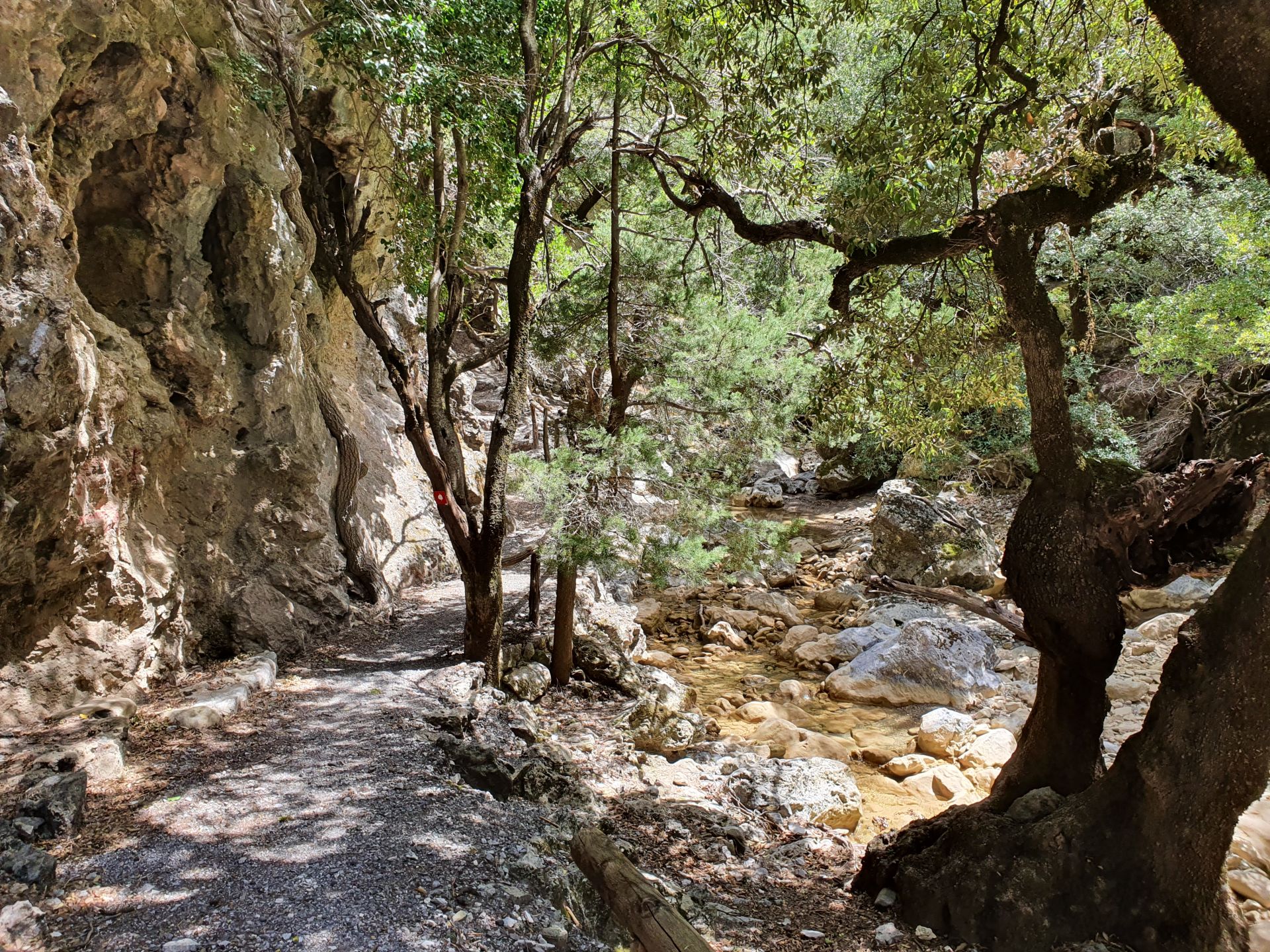 Rouvas Wood and Gorge Vandringsled